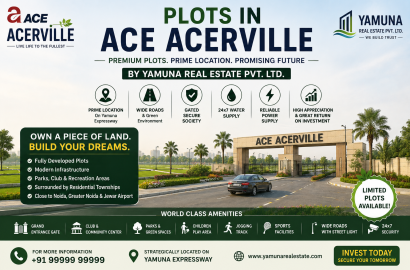 Plots in Ace Acerville